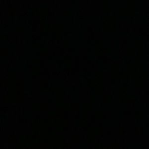 Meet your Posher, Connie